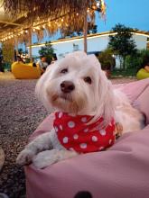 Profile picture for user Teacher_Mariana12