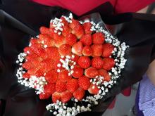 Profile picture for user tha-huynh