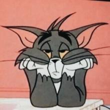 Profile picture for user Fatima2456