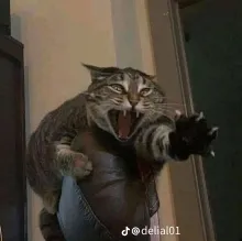 Profile picture for user Anwarib31