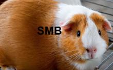 Profile picture for user silviamercado