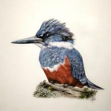 Profile picture for user melonsandia