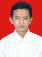 Profile picture for user ibnubimo