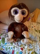 Profile picture for user flybutterfly