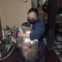 Profile picture for user Aniesxnyder