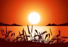 Profile picture for user NitCRF250