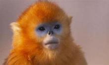 Profile picture for user SchoolAccount