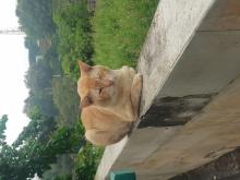 Profile picture for user Adiyatno11