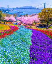 Profile picture for user Trangnami