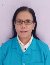 Profile picture for user erniriyanbimtek40