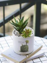 Profile picture for user MsXien