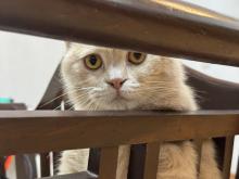 Profile picture for user Hang_Nguyen