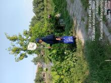 Profile picture for user titispermatasari