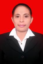 Profile picture for user silovinaamarahael