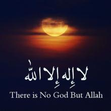 Profile picture for user Howidaayad74