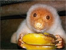 Profile picture for user AlexZUZU