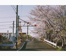 Profile picture for user quynhu2608_