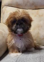 Profile picture for user demetse