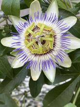 Profile picture for user NataMax