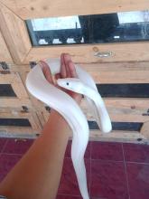 Profile picture for user Sahid351