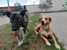 Profile picture for user GetitMexico