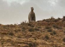 Profile picture for user Anto007