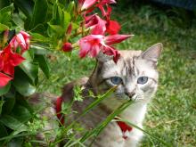 Profile picture for user LuciaHR