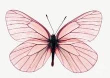 Profile picture for user misslolifernandez