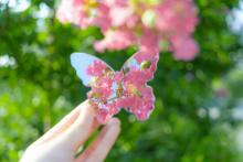 Profile picture for user khsonic