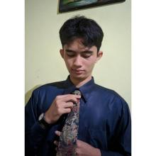 Profile picture for user bimpoh69