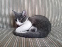 Profile picture for user Profe_Victor_CNYNL