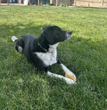 Profile picture for user mmemaggio