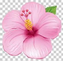 Profile picture for user greatpro