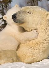 Profile picture for user RachelDuncan