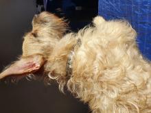 Profile picture for user MrAlex_Dav