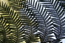 Profile picture for user anadinoutel