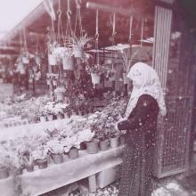 Profile picture for user WAZIE