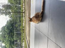 Profile picture for user aliahalee