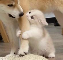 Profile picture for user kingkan2523