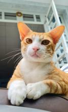 Profile picture for user IceBear2612