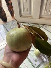 Profile picture for user LoanBD