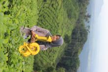 Profile picture for user Rista Mela Assifa