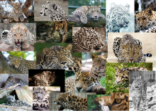 Profile picture for user Elisity