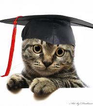 Profile picture for user aisyafatiha_13