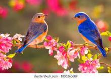 Profile picture for user KGSD