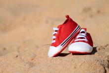 Profile picture for user VeronicaLouro