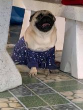 Profile picture for user Kru_AunAun