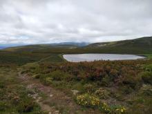 Profile picture for user marcosdurancampos