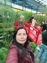 Profile picture for user missstar