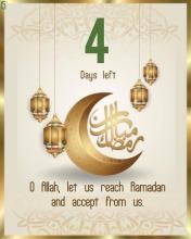 Profile picture for user chasarah23